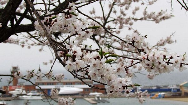 Улица Мартовская во Владивостоке