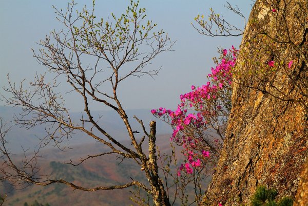 Весенний Владивосток