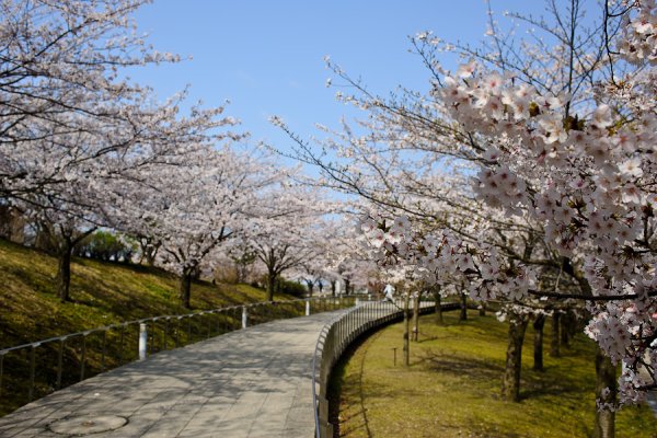 Весенний Владивосток