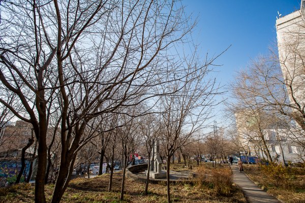 Сквер Сакура во Владивостоке