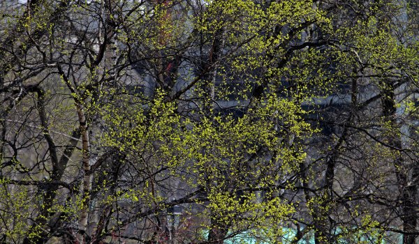 Владивосток осень 2020