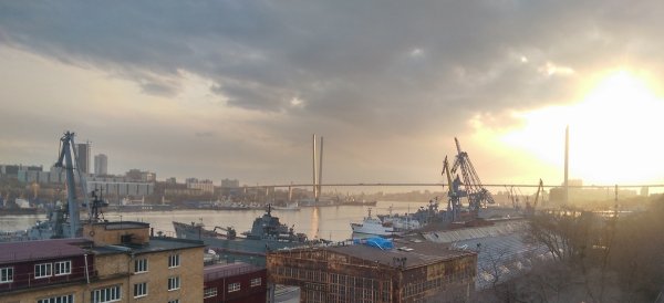 Сквер Сакура во Владивостоке
