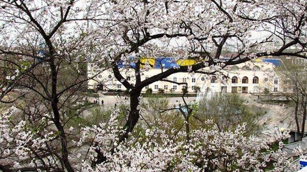 Весенний Владивосток