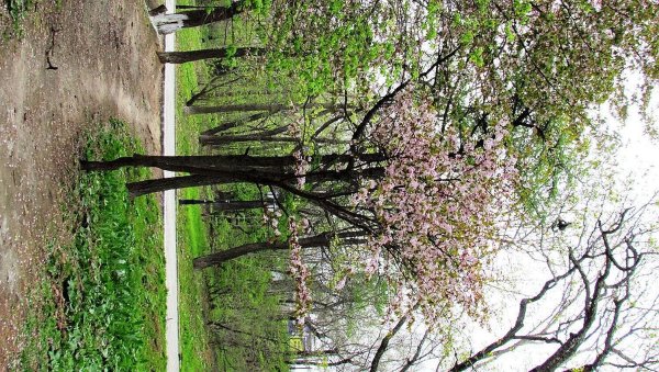 Восход во Владивостоке