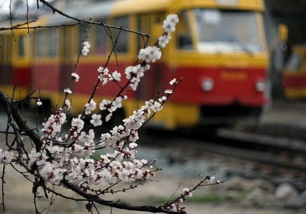 Весенний трамвайчик