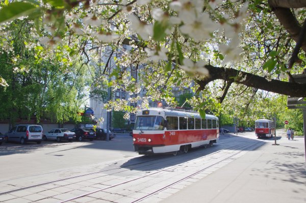 Весенний трамвай