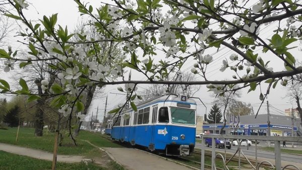 Весенний трамвайчик