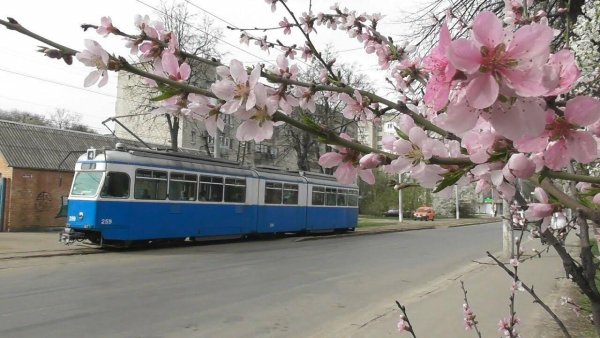 Трамвайчик весной