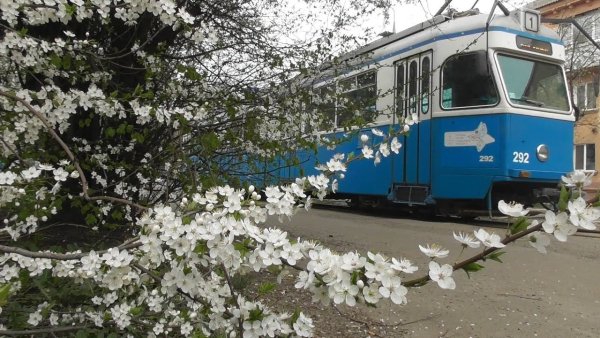 Трамвай весной