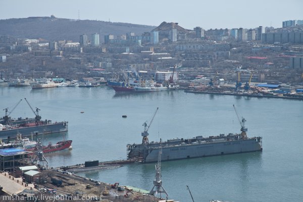 Сквер Сакура во Владивостоке