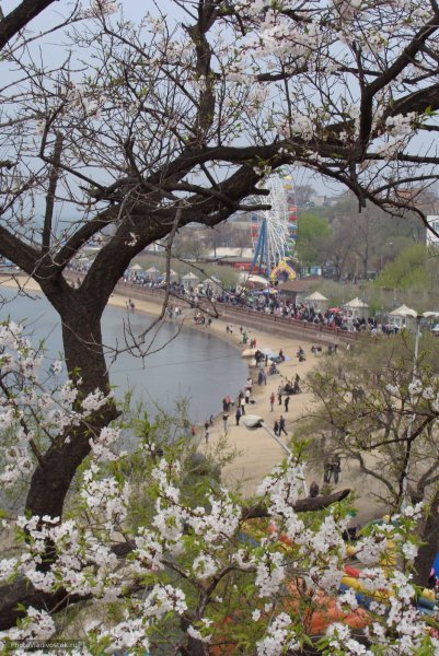 Владивосток Приморский край улицы