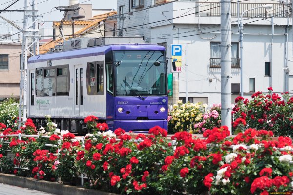 Трамвай Весна