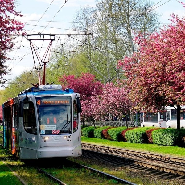 Трамвай весенний Краснодар