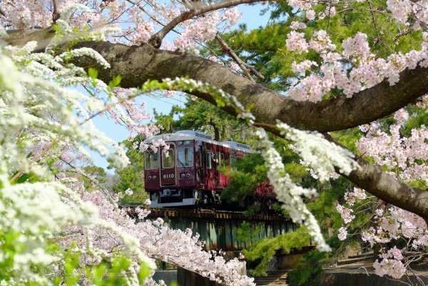 Парк Сокольники трамвай
