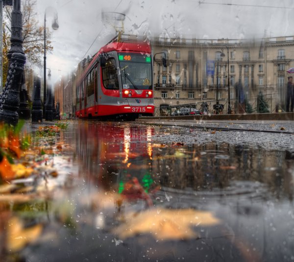 Художник: Алексей Бутырский осень трамвай