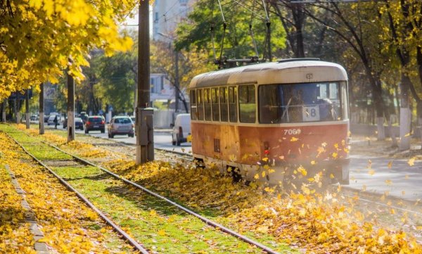 Парк Сокольники трамвай