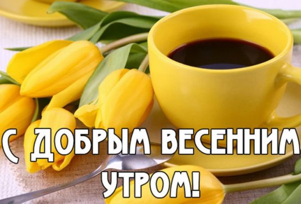 Отличного весеннего настроения