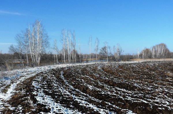 Пашня зимой