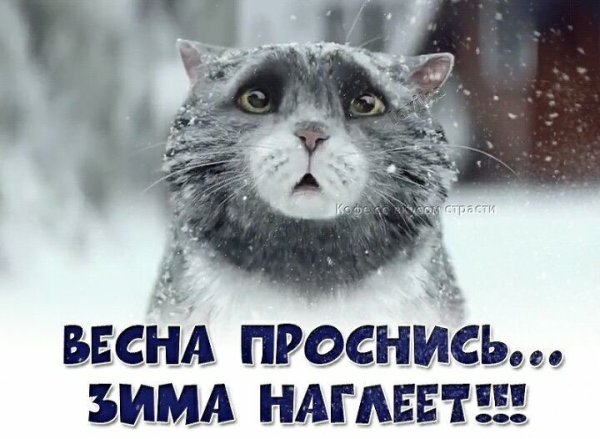 Опять пришла зима