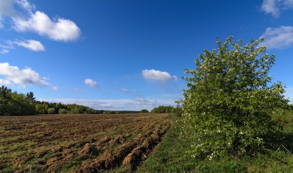Весенняя пашня