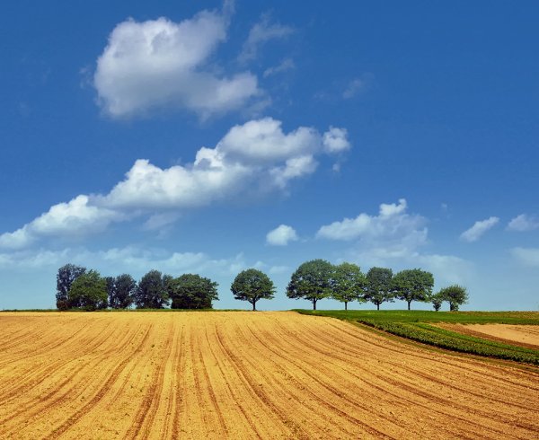 Пахотное поле России