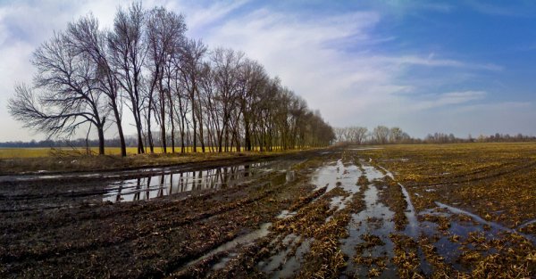 Пашня осенью