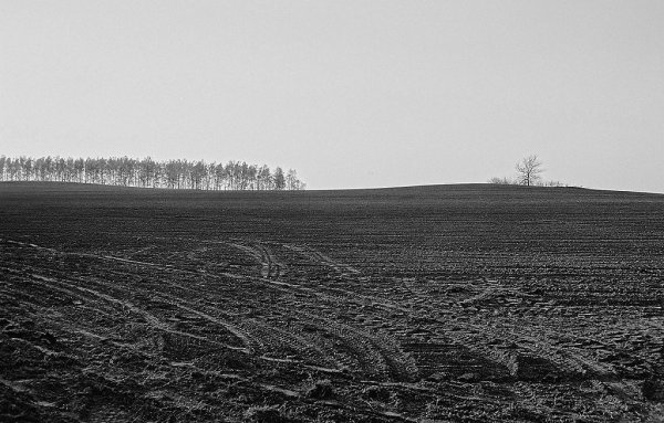 Весенняя пашня