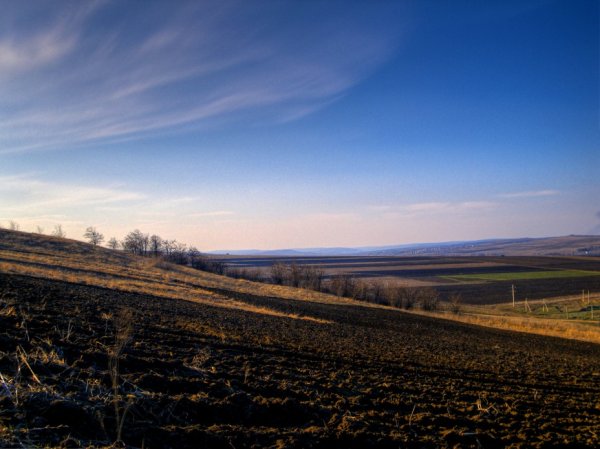 Весенняя пашня