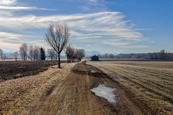 Поздняя осень в поле