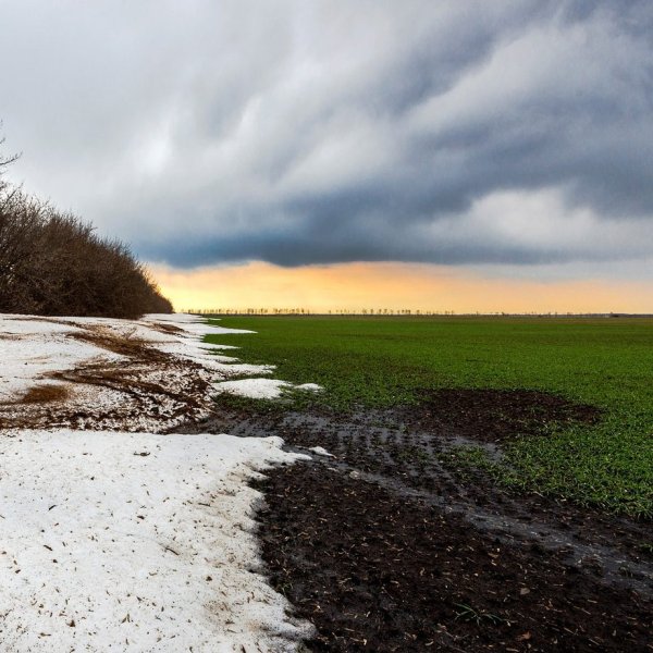 Ранняя Весна в поле