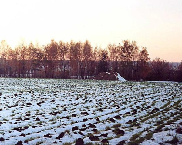 Земля весной