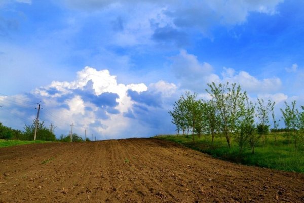 Вспаханное поле Новосибирск