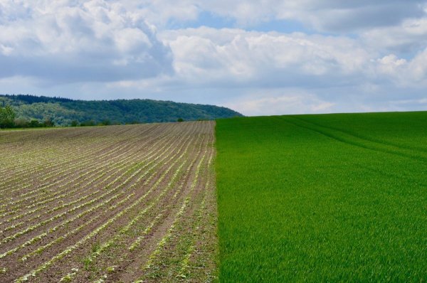 Превращение сухих лугов в пахотные поля