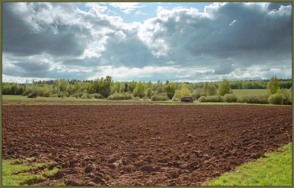 Деревня пашня