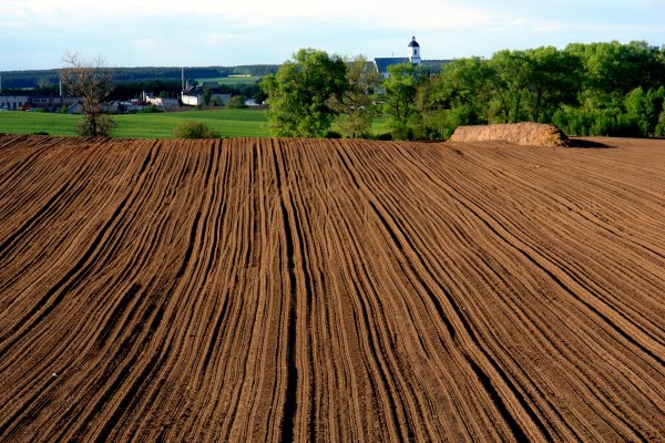 Плодородные пахотные земли Ставрополья