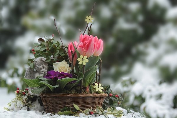 Корзина с подснежниками и крокусами