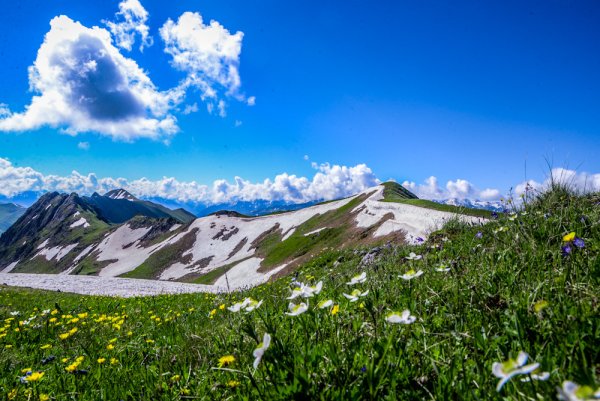 Альпийские Луга Лагонаки