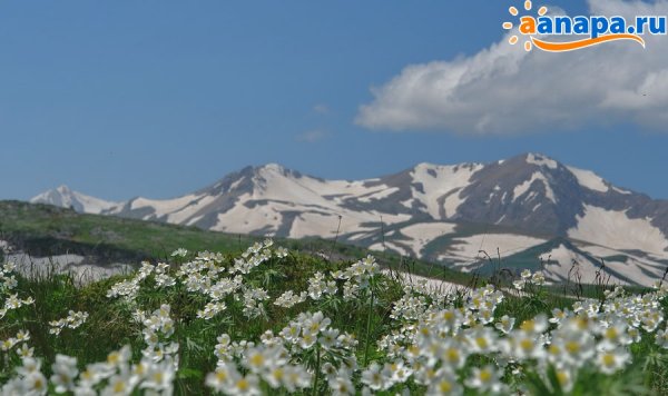 Плато Лаго Наки весной