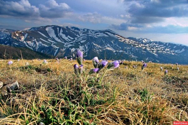 Плато Лагонаки весной