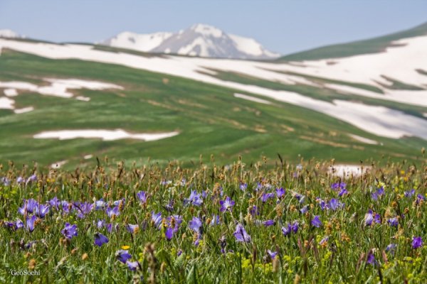 Плато Лагонаки Луга
