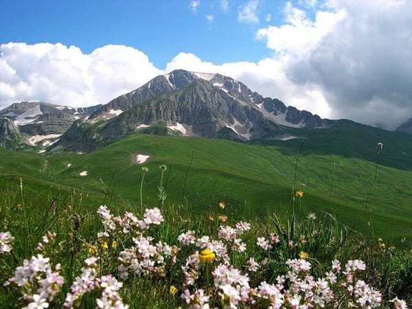 Плато Лаго-Наки Альпийские Луга