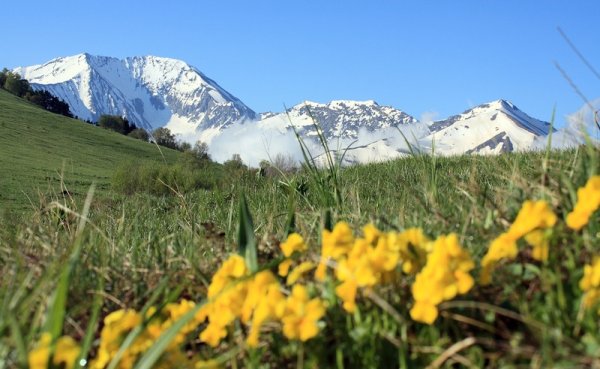 Предгорья Кавказа Адыгея