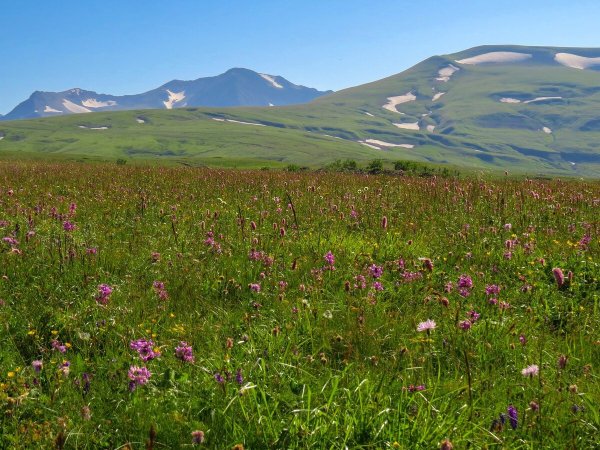 Лаго Наки Альпийские Луга