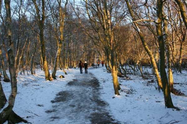 Весенняя прогулка