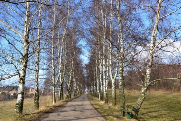 Прогулка весной
