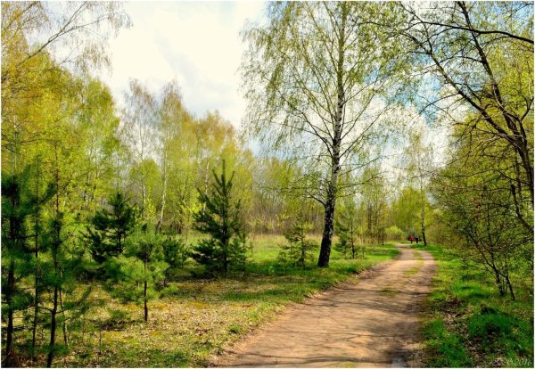 Весенняя прогулка картинки