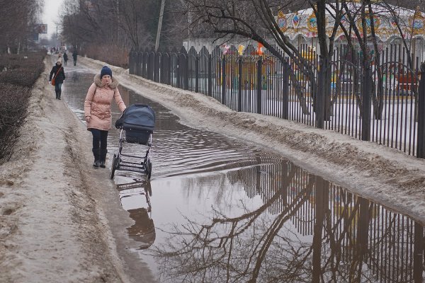 Прогулка в весеннем парке