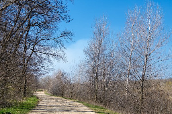 Весенняя прогулка
