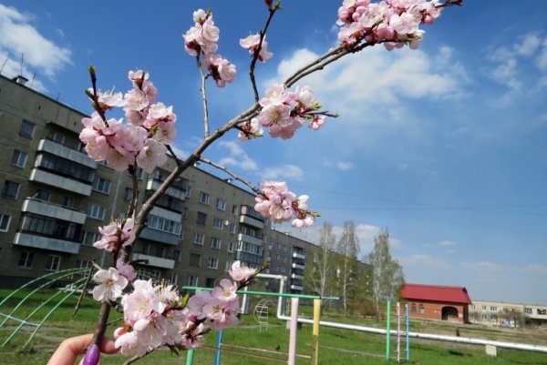 Дети весной