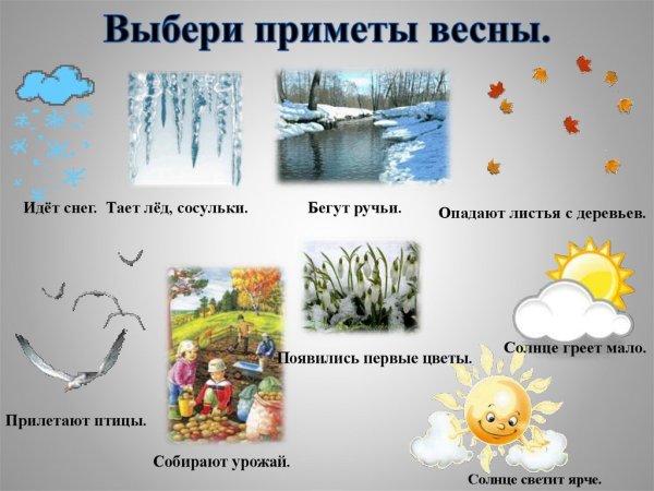 Приметы наступления весны для детей